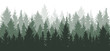 © nosyrevy - Forest background, nature, landscape. Evergreen coniferous trees. Pine, spruce, christmas tree. Silhouette vector