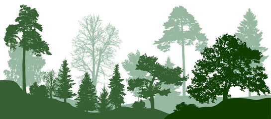 Wall Mural - Forest green trees silhouette. Nature, park. Vector background