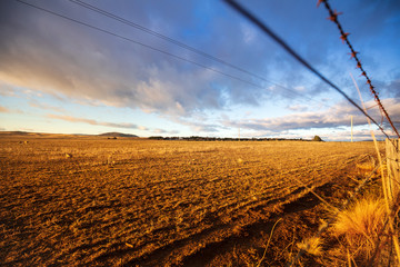 Wall Mural - Australian farmland in drought