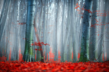 Poster - Fall. Autumn landscape. Beautiful autumnal park with bright red leaves and old dark trees. Beauty nature scene