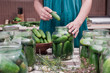 women's hands put cucumbers in a can for canning, home canning of vegetables