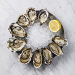 © The Picture Pantry - Open Oysters with lemon on ice on white marble background