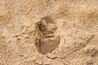 © Augustas Cetkauskas - Footprint in the sand. Macro photo close up from above