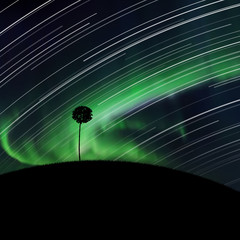 Sticker - Landscape with lonely tree at night. Vector illustration with silhouette of maple on hill. Rotation of stars. Northern lights in starry sky. Colorful aurora borealis