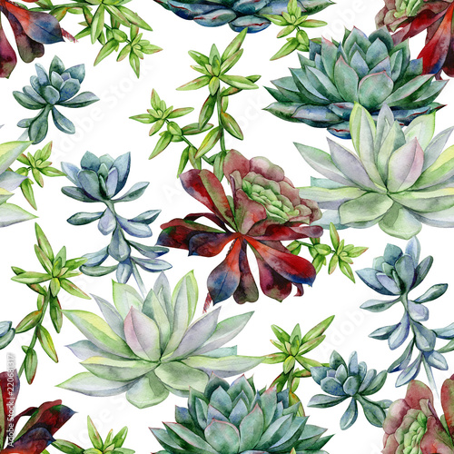Watercolor succulents seamless pattern, echeveria illustration, botanical pai...