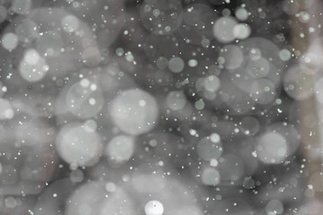 winter background blurry snow,Snow falling on dark winter night. Snowflakes bokeh effect abstract blur