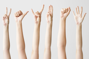 Wall Mural - Multiple female hand gestures on gray background