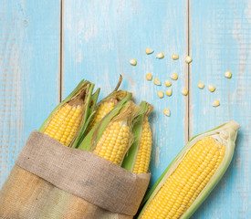 Sticker - Fresh yellow sweet corn on blue wooden,top view