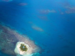 Wall Mural - Blue sea water with coral reefs