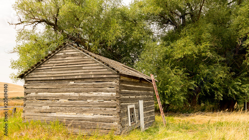Old Log Cabin With A Ladder Leaning Against With A Huge Tree Buy