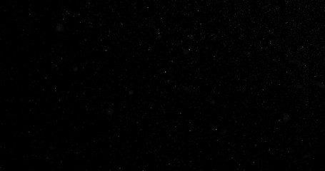 Wall Mural - snowfall on a black background