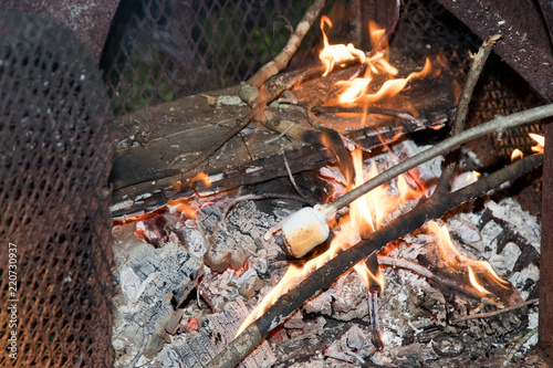 Marshmallow Roasting On Open Fire In Fire Pit Closeup Nobody