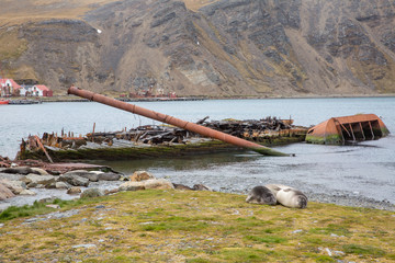 old fisher village n Antarctica