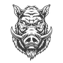 Boar Head In Black And White Color Style