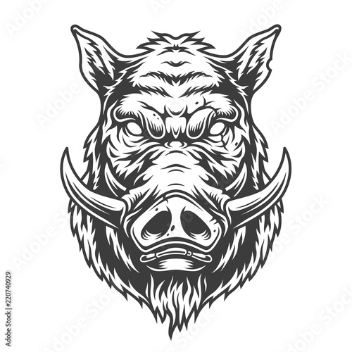 Fotografía Boar head in black and white color style