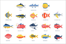 Collection Of Sea And River Fish And Lettering Name In English Vector Illustrations