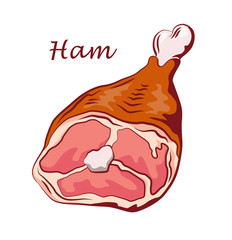 Wall Mural - Ham hock. Pork knuckle isolated on white background. Meat on the bone. Colored image with contour. Vector illustration. Icon, emblem, logo element.
