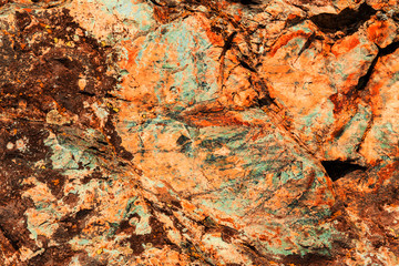 Aufkleber - A background for designers. Abstract texture.