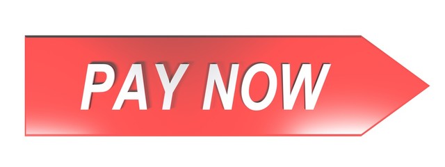 Leinwandbilder - PAY NOW on red arrow - 3D rendering