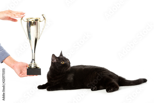 Cropped Image Of Man Giving Golden Trophy Cup To Black British