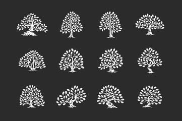 Poster - Huge and sacred oak tree plant silhouette logo isolated on dark background set.