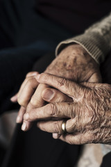 Wall Mural - young man holding the hand of an old woman