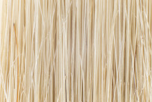 Fibers Of A Brush, Close-up