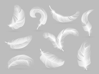 Wall Mural - Realistic feathers. White bird falling feather isolated on white background vector collection. Illustration of feather bird, soft white plume