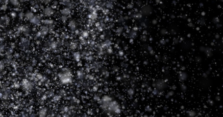 Wall Mural - Snowfall on a black background