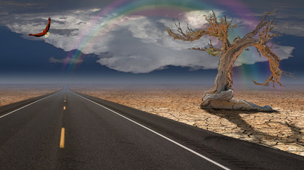 Wall Mural - Road leads into desert