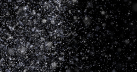 Wall Mural - Snowfall on a black background