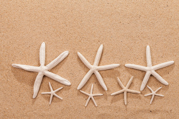 sandy beach scene in summer holiday vacation with starfish on sand and copy space