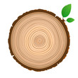 Wood sign icon cross section of the trunk with tree rings