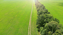 Aerial. Beautiful Green Landscape With A Country Road In The Field.