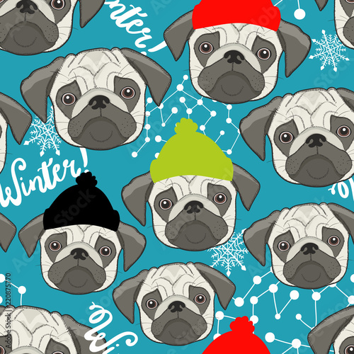 Plakat Winter seamless pattern with cute pugs faces.