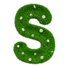Green Letter S From Grass With Flowers, 3D Rendering