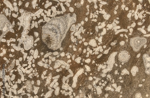 Fotografie, Obraz The Devonian Fossil Gorge is located north of Iowa City