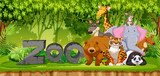Set of zoo animals in jungle