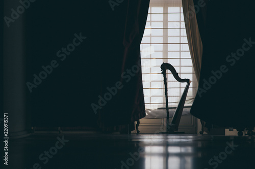 Fotomural The silhouette of a harp in a salon in front of a door with white curtains creat