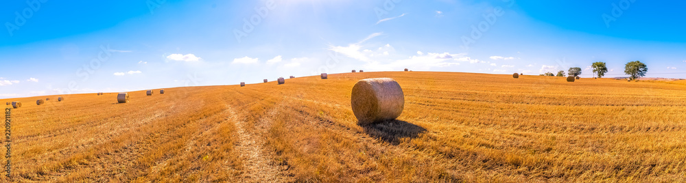 hay bales landscape of yellow grass fields under blue sky with white ...