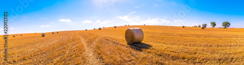 Fotomural hay bales landscape of yellow grass fields under blue sky with white clouds, agr