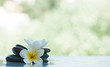 © millaf (Nemchinova) - spa set outdoors with sunlight on white marble table