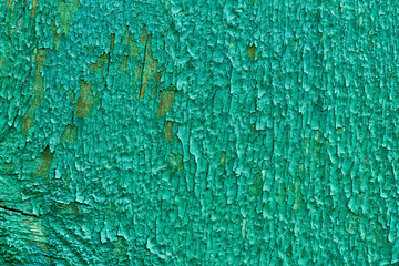 old green weathered wooden texture, full frame background