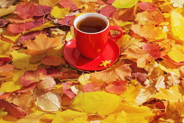 Poster - cup of tea on background autumn leaves