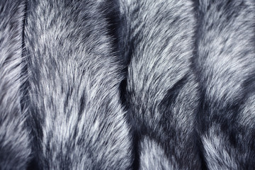 real fur of silver fox - texture