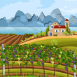Vineyard growing harvest Vector. Beautiful summer fields and mountains views