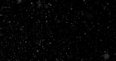 Wall Mural - Snowfall on a black background
