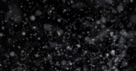 Wall Mural - Snowfall on a black background