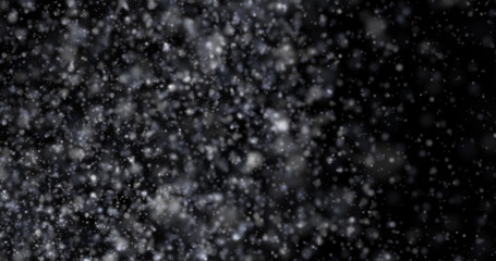 Wall Mural - Snowfall on a black background