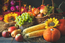 Happy Thanksgiving Day Background, Wooden Table Decorated With Pumpkins, Maize, Fruits And Autumn Leaves. Harvest Festival. Selective Focus. Horizontal.